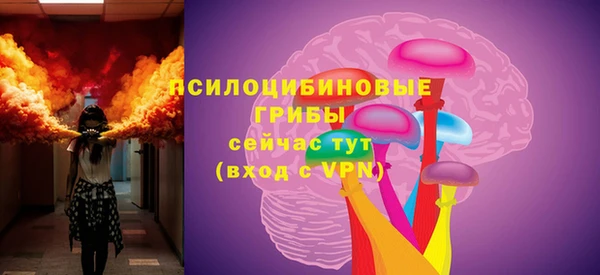 дурь Алзамай