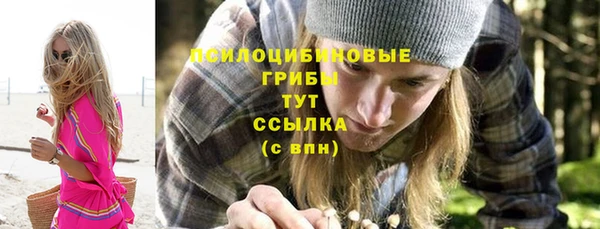 твердый Семилуки