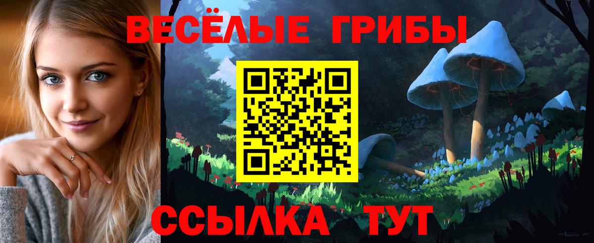 Псилоцибиновые грибы прущие грибы Геленджик